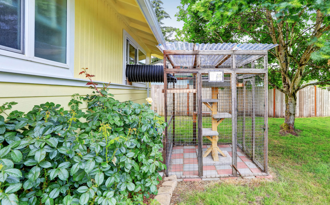 Home made cat enclosure